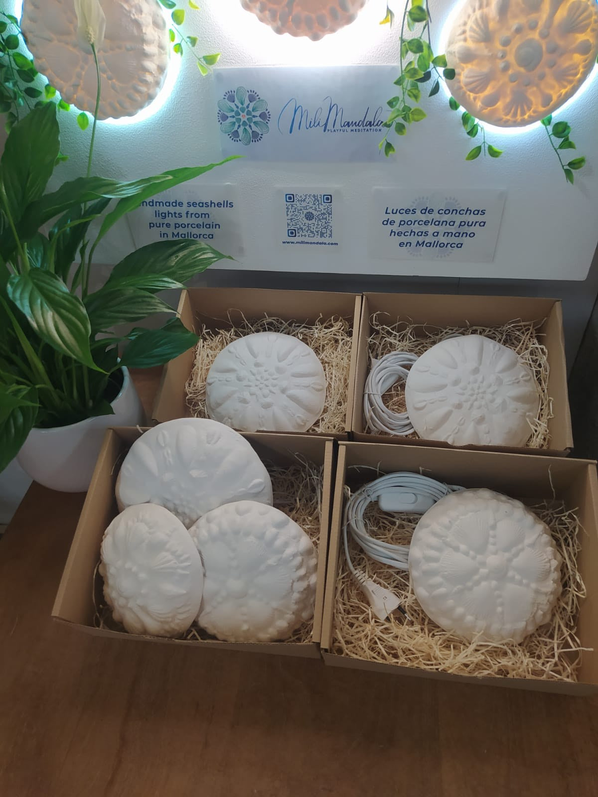 Luz ambiental hecha a mano con conchas marinas - Mahina