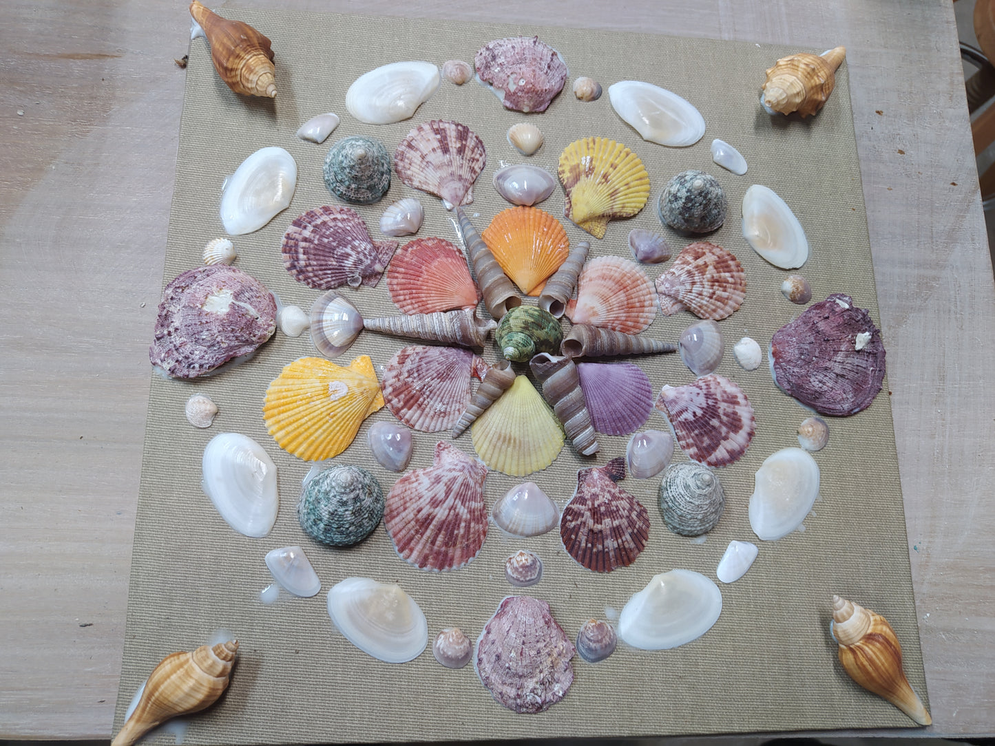 Experiencia artística con Mili Mandala
