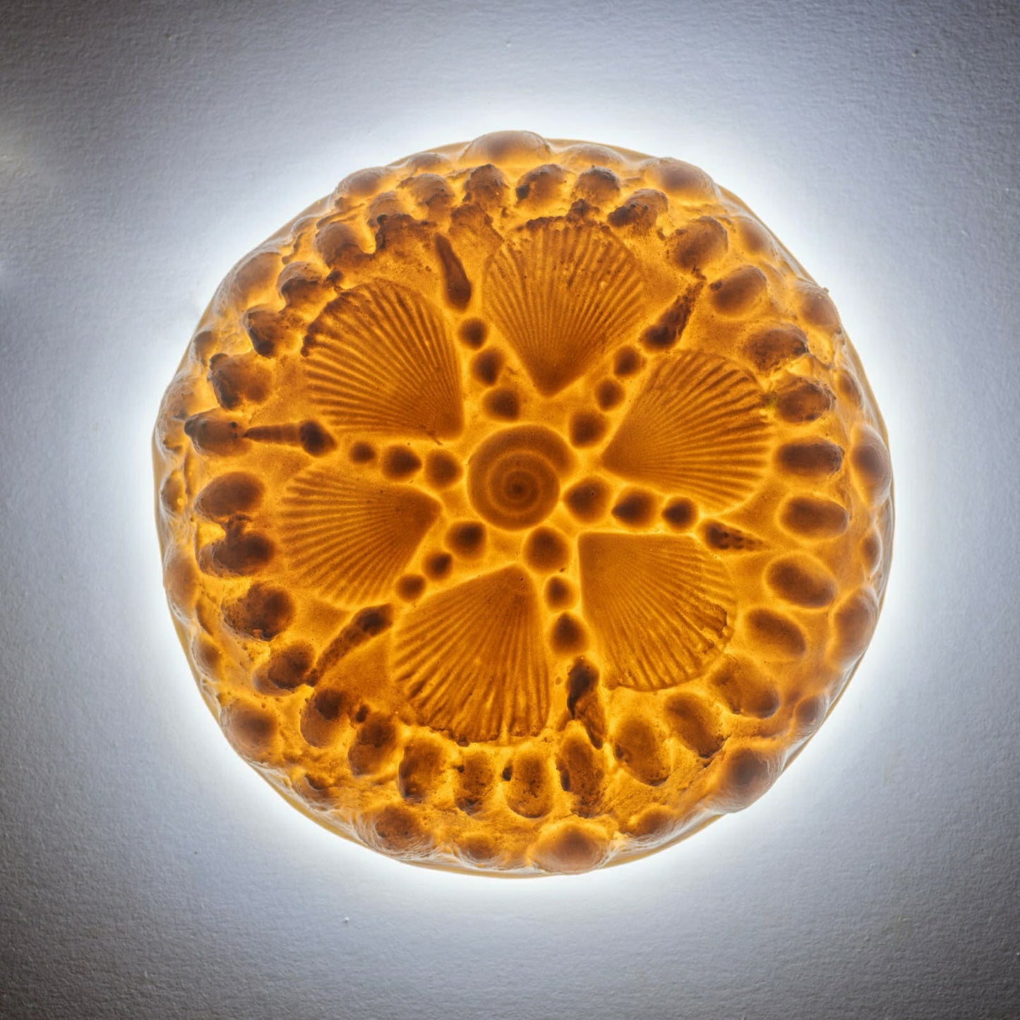 Luz ambiental hecha a mano con conchas marinas - Mahina