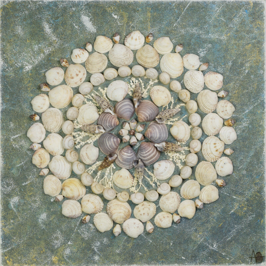 Bolso Mandala Conchas Marinas Gratitud