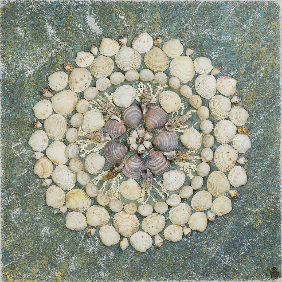 Mandala Obraz