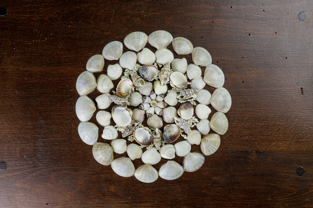 Mandala Obraz