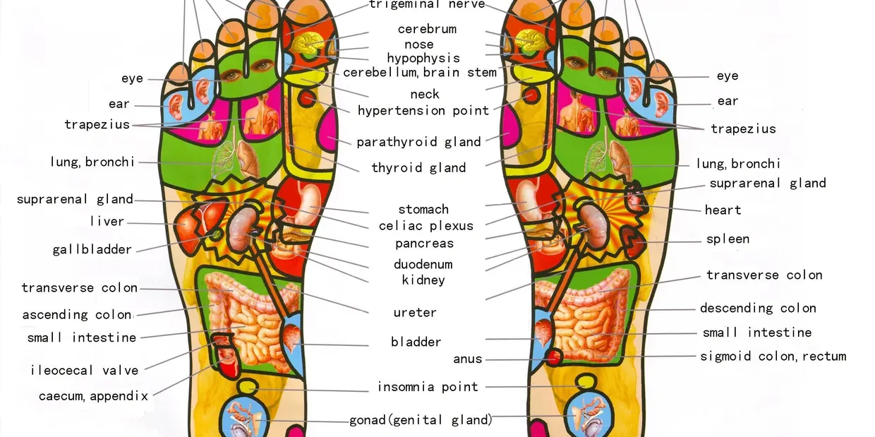 Reflexology mandala "a massage tile" Purification