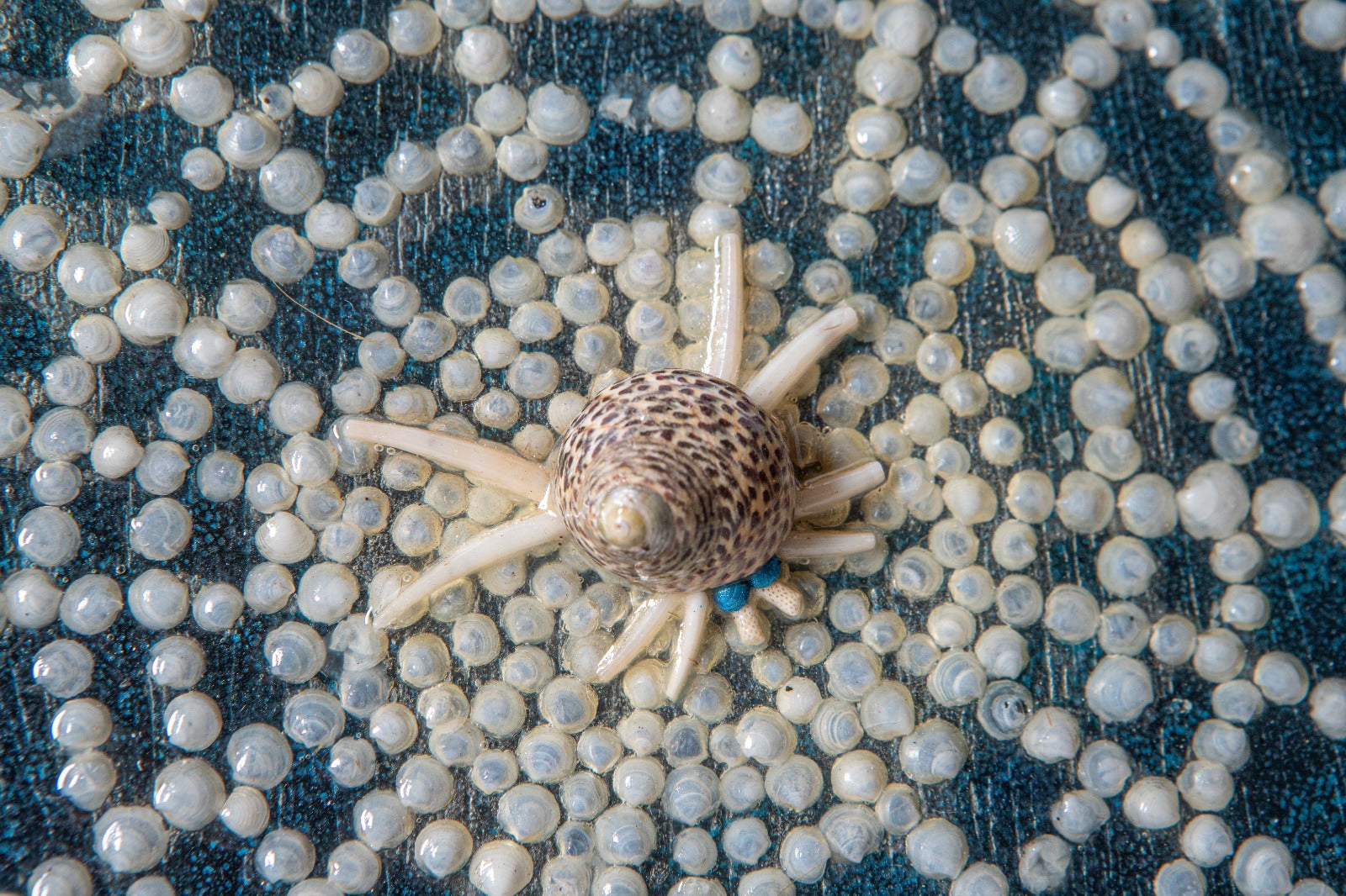 Mandala Bohatého Pavouka