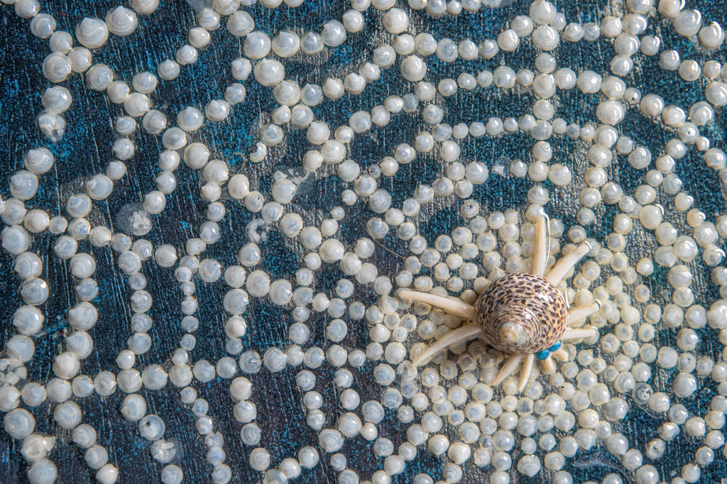 Wealthy Spider Mandala