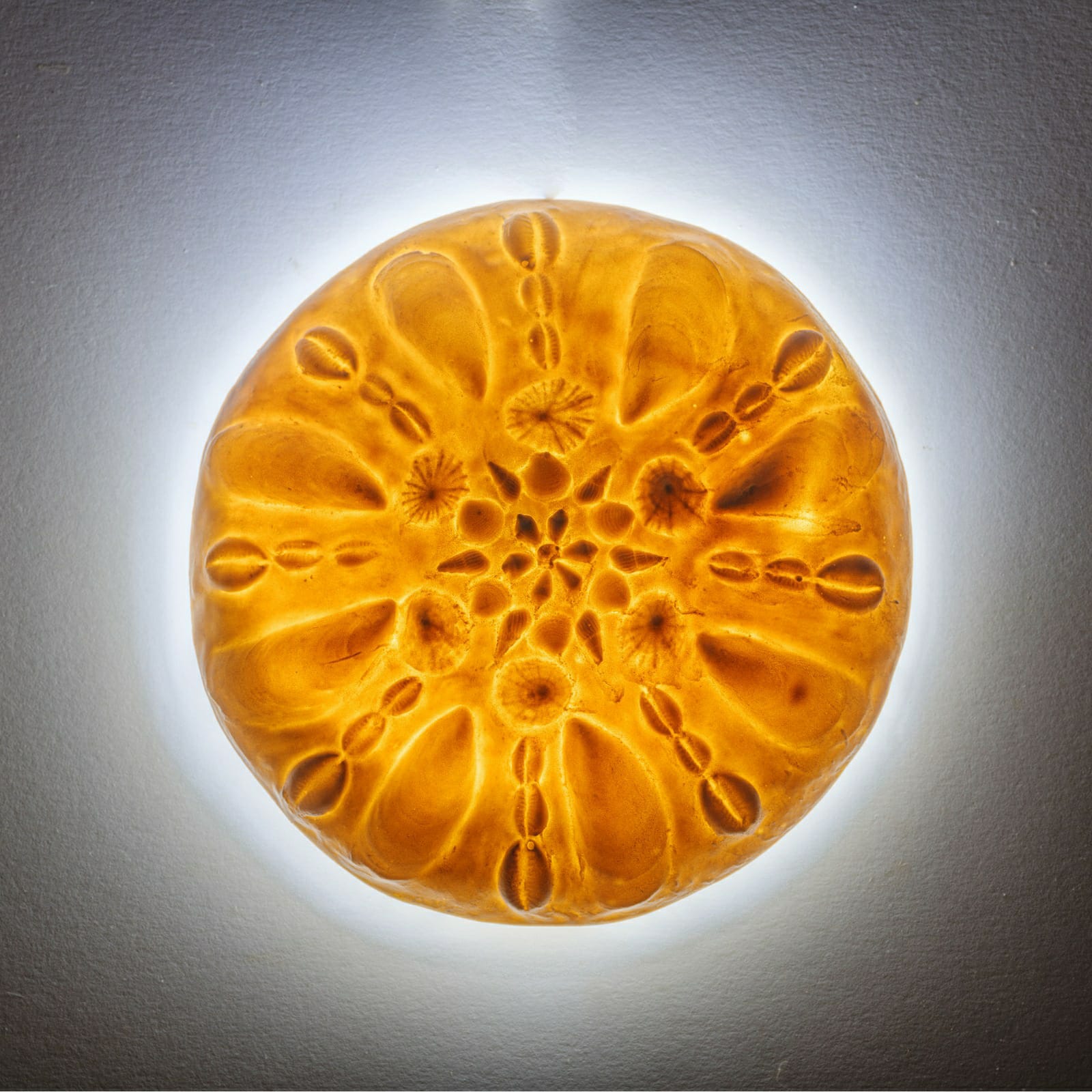 Handmade Seashells Mood Light - Eleanor