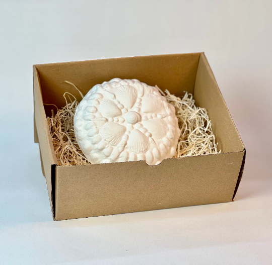 Handmade Seashells Mood Light - Mahina