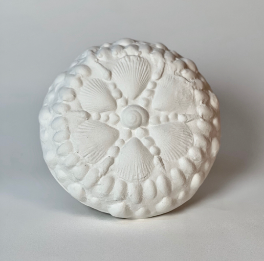 Handmade Seashells Mood Light - Mahina