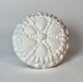 Handmade Seashells Mood Light - Mahina