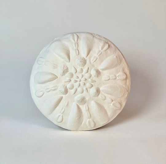 Handmade Seashells Mood Light - Eleanor
