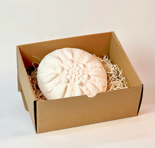 Handmade Seashells Mood Light - Eleanor